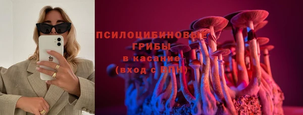 гидропоника Сатка