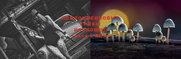 гидропоника Сатка