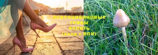 стаф Саяногорск