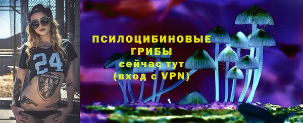 гидропоника Сатка