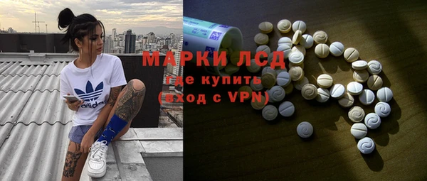 гидропоника Сатка
