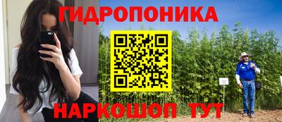 гашишное масло Берёзовский