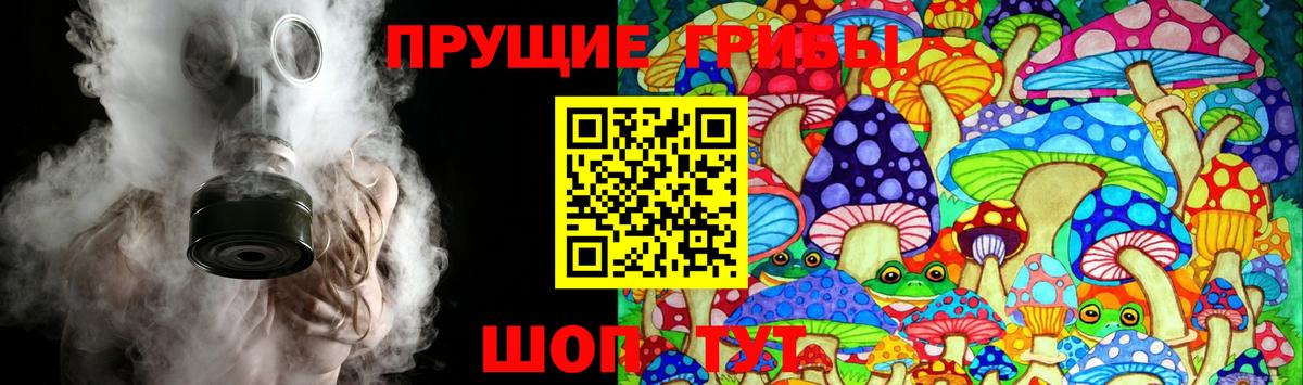 Псилоцибиновые грибы Cubensis Североморск