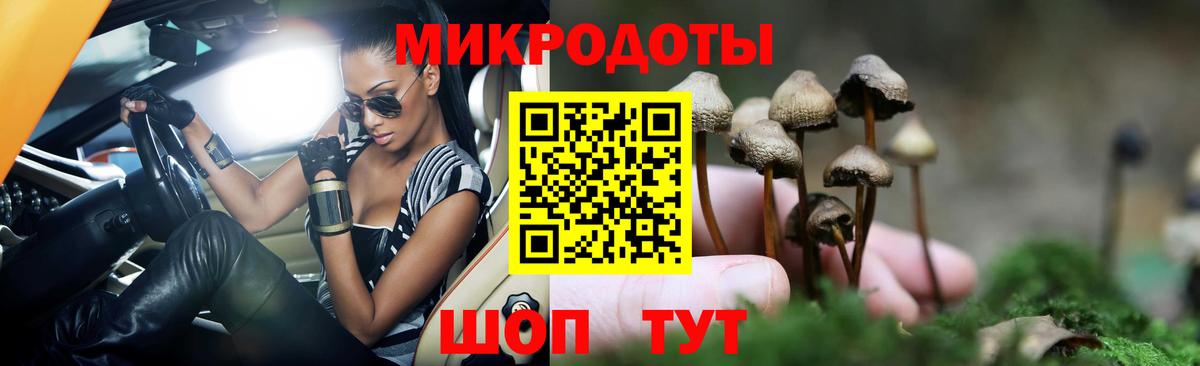 Псилоцибиновые грибы GOLDEN TEACHER Североморск