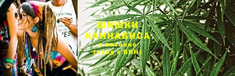 Шишки марихуана SATIVA & INDICA  как найти закладки  Североморск 